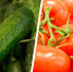 Огурцы уступили корону помидорам: как изменились цены на продукты в Ставропольском крае - Bloknot-Stavropol.Ru