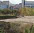 Парк за ТЦ "Европа", сентябрь 2026 года / Фото: Екатерина Смолихина / amic.ru - ИА Амител