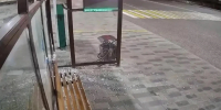 В Железноводске на Ставрополье ищут вандалов, стрелявших в стеклянные остановки - Комсомольская Правда