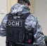 Из Челябинской области выдворили еще 19 нелегальных мигрантов - Южноуральская панорама