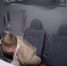 Скриншот видео объединённой пресс-службы судов Петербурга - Мой район
