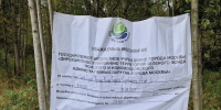 СНОВА ПИЛЯТ ТРОИЦКИЙ ЛЕС - ТЕПЕРЬ ПОД "ЛЫЖНЮ" - Экооборона Московской области