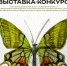 Томские педагоги сферы искусства могут принять участие в выставке-конкурсе - Администрация Томской области