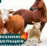 БЕСКОНТРОЛЬНОЕ ПЕРЕМЕЩЕНИЕ ЖИВОТНЫХ ЗАПРЕЩЕНО ЗАКОНОДАТЕЛЬНО!. - Администрация