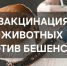 ОСНОВНАЯ МЕРА ПРЕДУПРЕЖДЕНИЯ БЕШЕНСТВА - ВАКЦИНАЦИЯ!. - Администрация