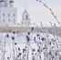 Фото: ПАИ - InformPskov.Ru