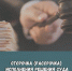 В рассрочке исполнения решения суда отказано - Сарапульский районный суд