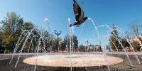 В Московской области завершают консервацию фонтанов на зиму - РТВ-Подмосковье