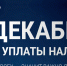 ФНС напоминает: 1 декабря срок уплаты налогов - Samaratoday.ru