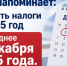 1 декабря — последний день уплаты имущественных налогов: что важно знать - Карасукский район