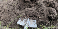 Воронежанку осудили на полгода за жестокое нападение на человека с лопатой - МОЁ! Online