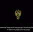 На черном фоне расположен герб Российской Федерации — двуглавый орел золотого цвета с распростертыми крыльями, увенчанный тремя коронами. - Юргамышский муниципальный округ