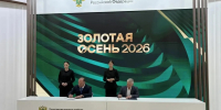СтГАУ займётся выведением новых сортов садовой земляники - ATVmedia.Ru