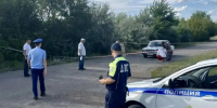 В Челябинской области отдали под суд пенсионера, насмерть сбившего двухлетнего ребёнка - Pchela.News