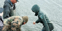 В Заинское водохранилище выпустили около 1000 мальков сазана в рамках экоакции - Новости Заинска
