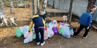 Акция «Подари хвостику надежду» объединила школьников и родителей 1 Акция «Подари хвостику надежду» объединила школьников и родителей - Кировская правда