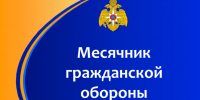 В Лунинском районе объявлен  месячник по гражданской обороне - Лунинский район