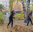 В районе продолжаются работы в рамках месячника осенней санитарной очистки - Администрация г. Барнаул