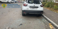 В Ясенево из-за ссоры с женой мужчина выбросил четырех котов из окна - Комсомольская Правда