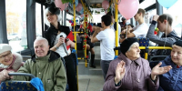 Пассажиры Подмосковья временно не могут купить билеты на автобусы через интернет - Комсомольская Правда
