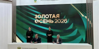 Высокопродуктивные сорта земляники создадут ставропольские ученые - Комсомольская Правда