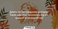 Девять лет Белгородскому зоопарку. Какие животные поселились под его крышей за последний год? - Fonar.Tv