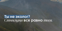 Студенты Удмуртии могут получить стипендию Президентского фонда природы - Министерство образования и науки
