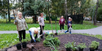 В Казани жители домов на улице Дементьева превратили двор в «Зеленый рай» на средства гранта - Администрация г. Казань