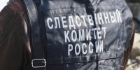 По факту нападения медведя на подростка в Алтайском крае возбуждено уголовное дело - Комсомольская Правда