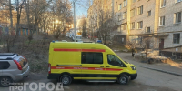 Мышиная лихорадка отправила на больничные койки 10 жителей Марий Эл - Pg12.Ru