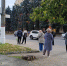 Куряне просят поставить лавочку на остановке «Знаменский собор» - Курские Известия