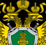НОВГОРОДСКАЯ ТРАНСПОРТНАЯ ПРОКУРАТУРА РАЗЪЯСНЯЕТ:  ВНИМАНИЕ СУДОВЛАДЕЛЬЦАМ И СОБСТВЕННИКАМ ПЛАВУЧИХ  ОБЪЕКТОВ. - Администрация Старорусского района