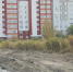В Заозёрном появится новая общественная территория - Администрация г. Курган