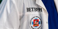 Картинка - Regions.Ru