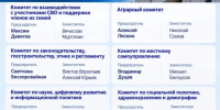 В новом составе Самарской губернской Думы будут работать 12 комитетов - ТК ТОЛЬЯТТИ 24