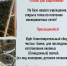 DZ_VsTA8xuzWsFO4aty8Eg_AqPc7I22hZIxAhcJQtqGbYVpLH8nG7J0r41BCbBkWNbGCTMKfHYXktjFKsue0b1MFiL4WcQ - Управление культуры и туризма