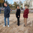 В Рузе благоустраивают центральный сквер - Рузский городской округ