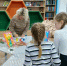   День научных чудес: раскрываем «Осенние краски»!   - Алексинская ЦБС