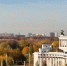 Фото: NickolayV/Shutterstock/Fotodom - Ямал-Медиа