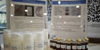 novyy-ranozazhivlyayushchiy-gel-predstavili-uchenye-skfu-na-forume-bioprom-2026-v-gelendzhike.jpg - Пятигорский институт (филиал) СКФУ