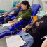 В Брянском медицинском колледже 56 человек сдали кровь - Газета Брянские новости