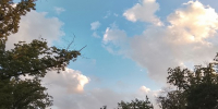 Фото: НИА Кубань - НИА-Кубань