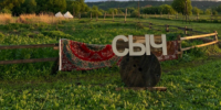 Воронежский глэмпинг «Сыч» выставили на продажу - TV-Gubernia.Ru