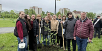 Дмитрий Морев сообщил о новом алгоритме озеленения города - Единая Россия