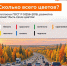 Сколько всего цветов разметки? - Городское поселение Октябрьское