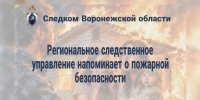 Региональное следственное управление призывает жителей Воронежской области к строгому соблюдению правил пожарной безопасности - Следственный комитет