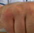 В Курске мужчину оштрафовали за драку - Курские Известия