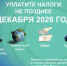 Уплатите налоги не позднее 1 декабря 2026 года - Министерство промышленности, предпринимательства и торговли