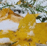 Картинка - Regions.Ru