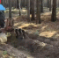скриншот видео управы Восточного округа - ИА Тюменская линия